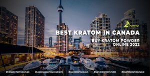 Best Kratom in Canada – Buy Kratom Powder Online 2022