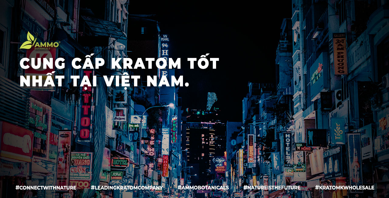 Kratom tốt nhất tại Việt Nam