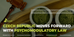 Blog kratom regulation Czech